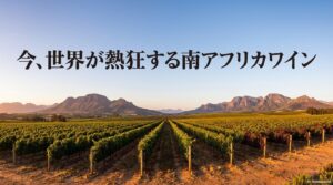 今、世界が熱狂する南アフリカワイン