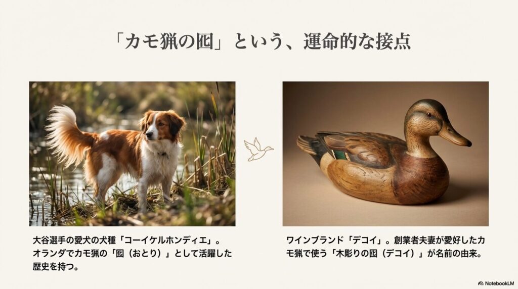 大谷選手が投稿し話題のデコイ・ジンファンデルを解説