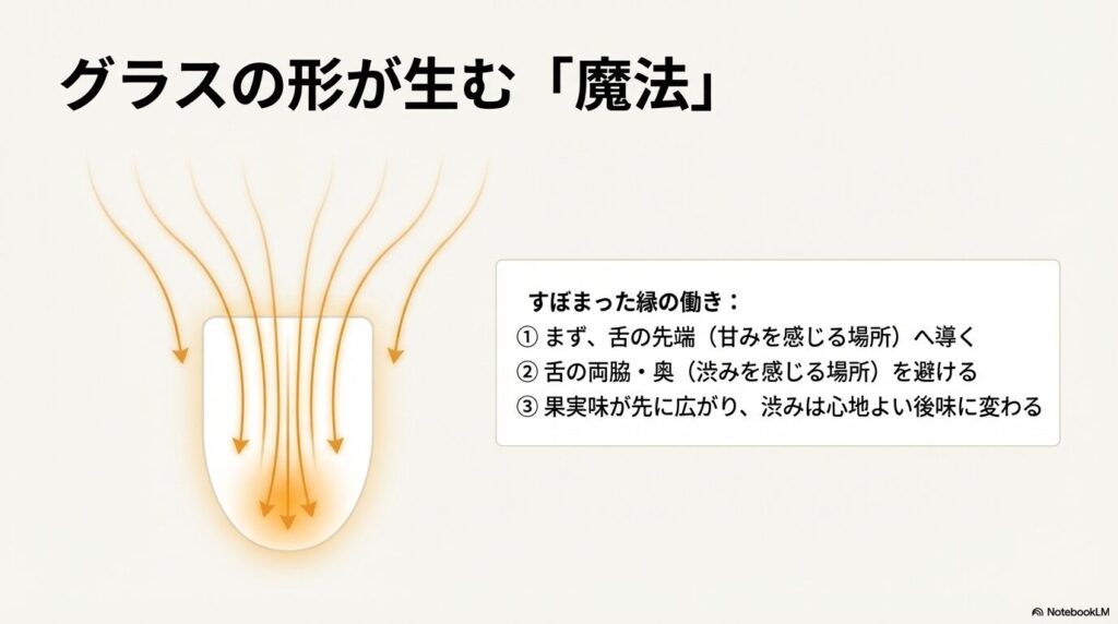 すぼまった縁の働きにより果実味が先に広がり、渋みは心地よい後味に変わる